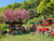Yujo Park