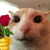 Valentina Emilet Gonzalez Feliciano 3D