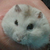 0號