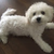 TimothyKim