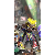鬥士13