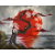 Kurenai_no_Tsuki