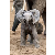 ElephantLover