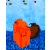 Yomballs