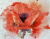 Sooze1066