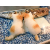 木戸ゆり