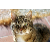 testbb1234
