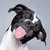 DonnaZ