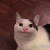 03李承樺