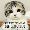 207-11李家婷