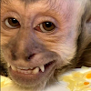 K W
