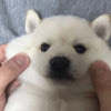 윤희수