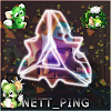 Nett_ ping