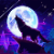 LUNA13