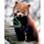 萬